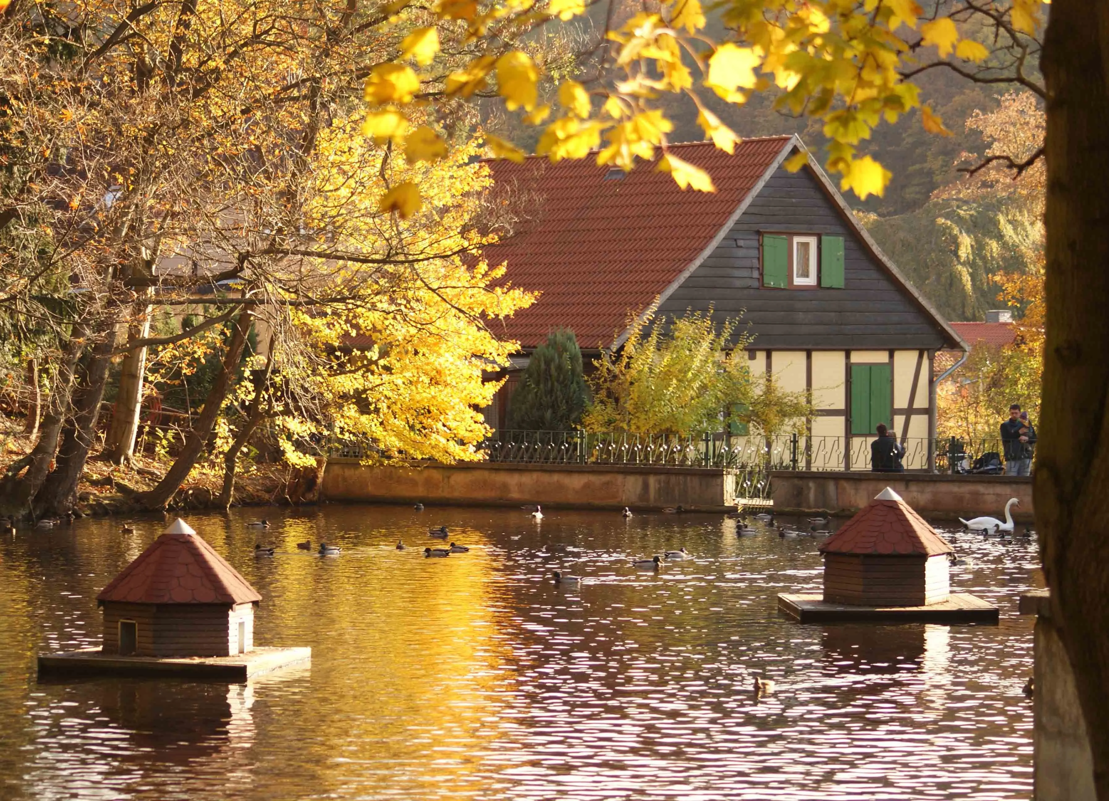 Wildpark Christianental